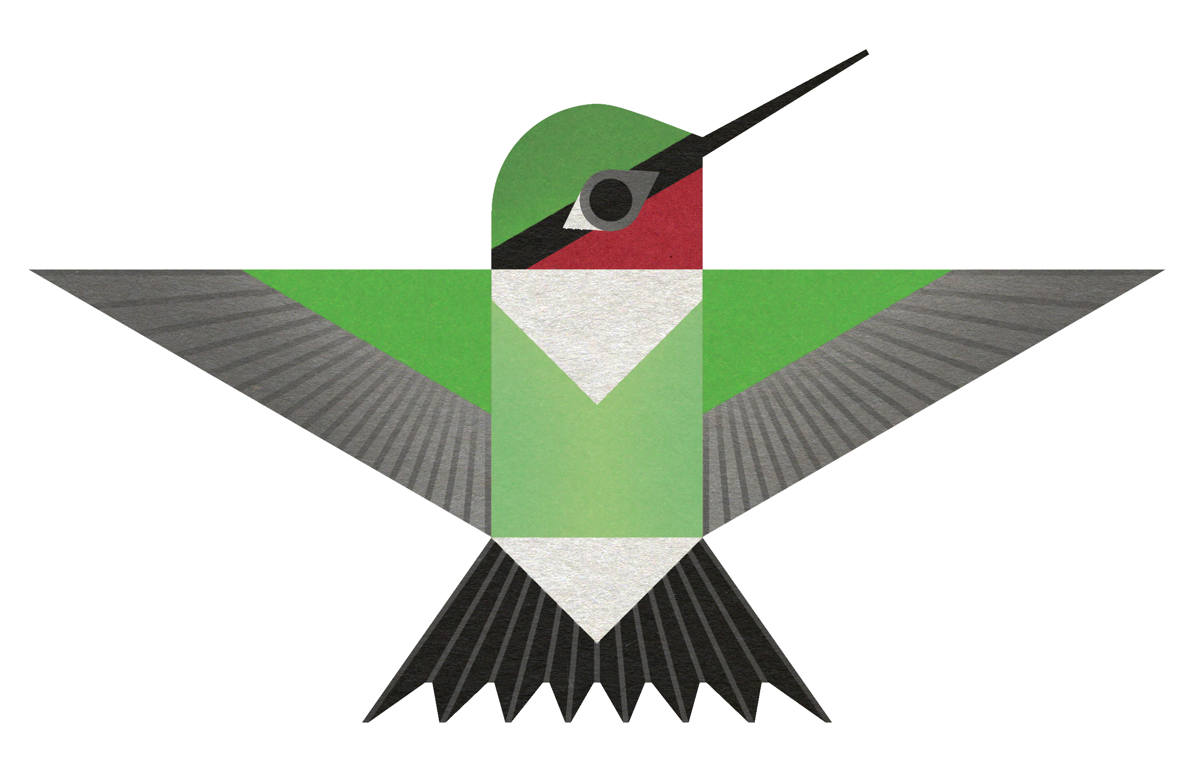 rubythroatedhummingbird_fig1